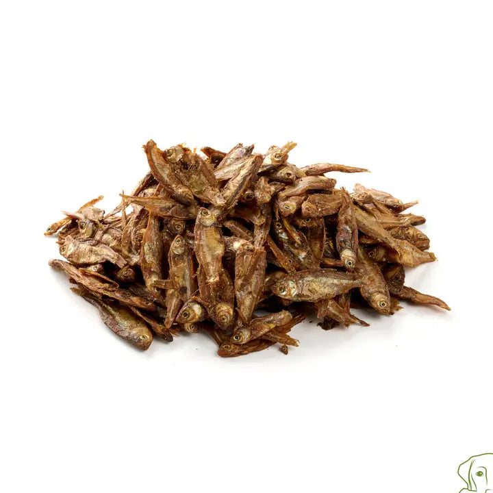 Sensitiv & Exotik Tüte