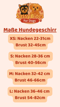Hundeschirr Love Pop inkl. Leine