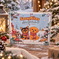SassyBites Adventskalender 2026