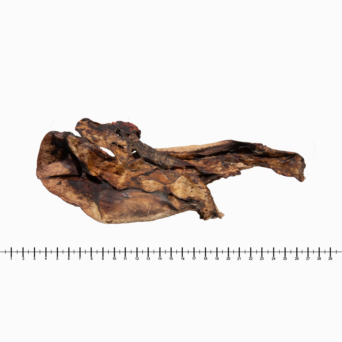 Lammlunge