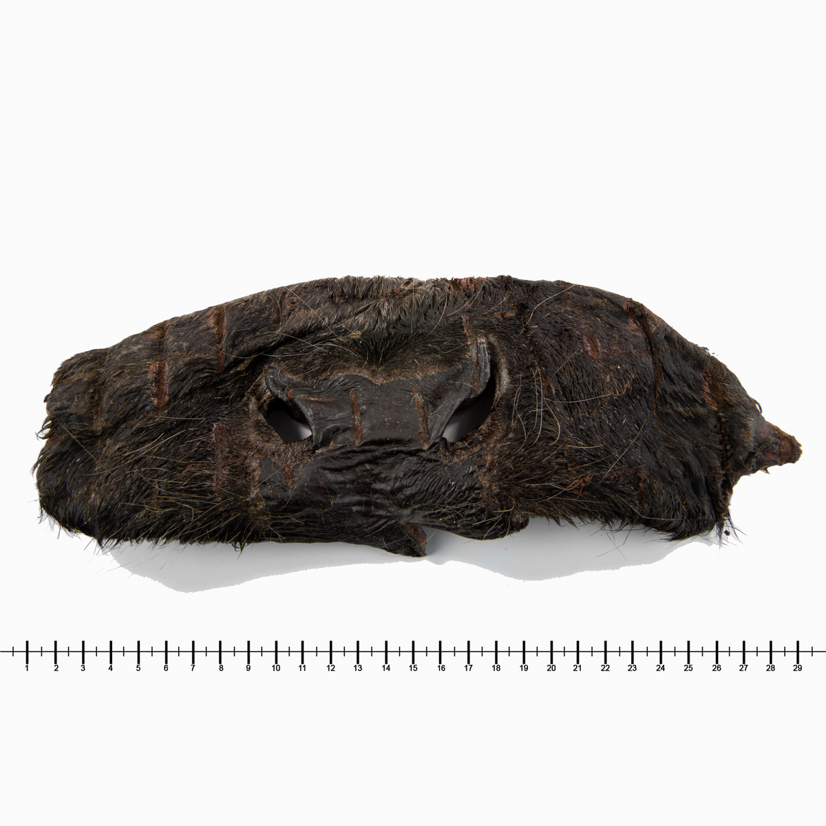 Rindernasenmasken