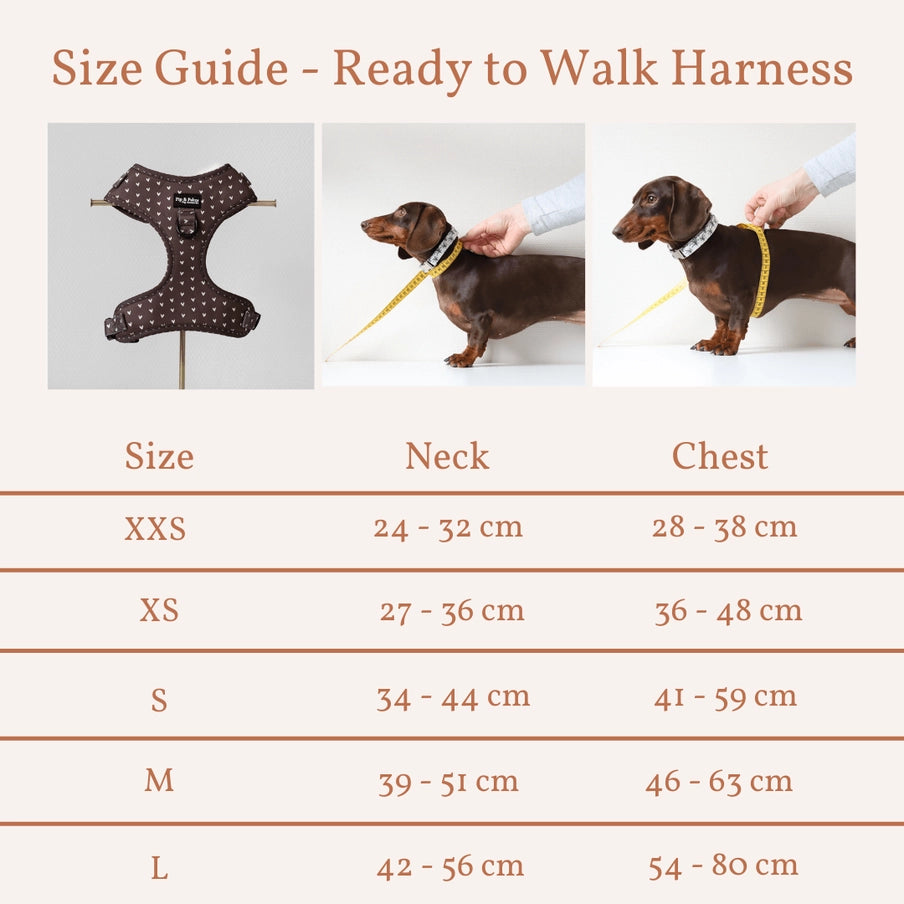 Choco Lover - Hundegeschirr