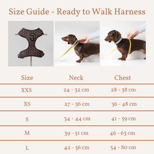 Choco Lover - Hundegeschirr